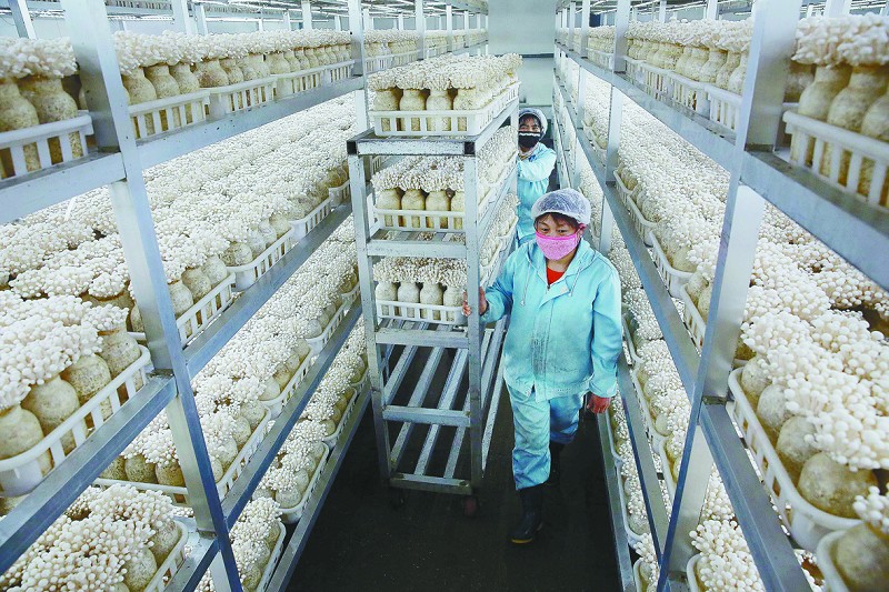 前5月湖南工程机械对非出口额增长超八成(图1)